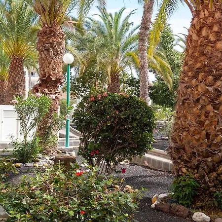 Апартаменты Apartamento Aloe Playa Del Ingles Сан-Бартоломе